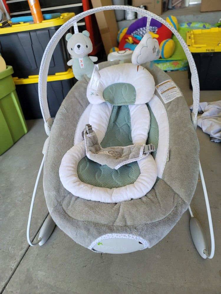 Ingenuity Smart Bouncer