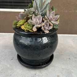 Round Ceramic Pot  Dark Green 