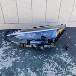 2024 Lexus NX  headlight 