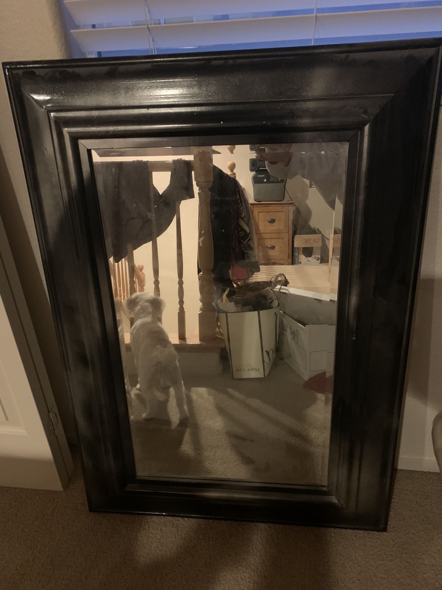 MIRROR