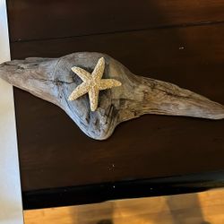 Drift Wood Art 