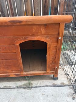 Dog House