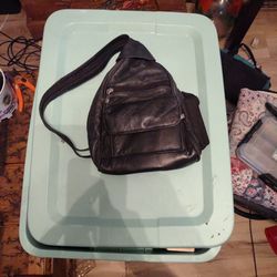 Leather Back bag/Purse