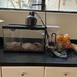 Reptile Glass aquarium 20 X 13 With New Reptile Fogger Machine