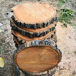 Wood Slices
