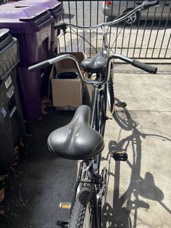 Two seaters bike