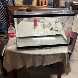 Fish Tank