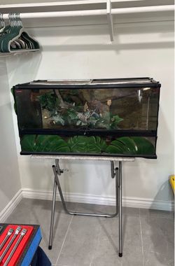 Reptile Enclosure
