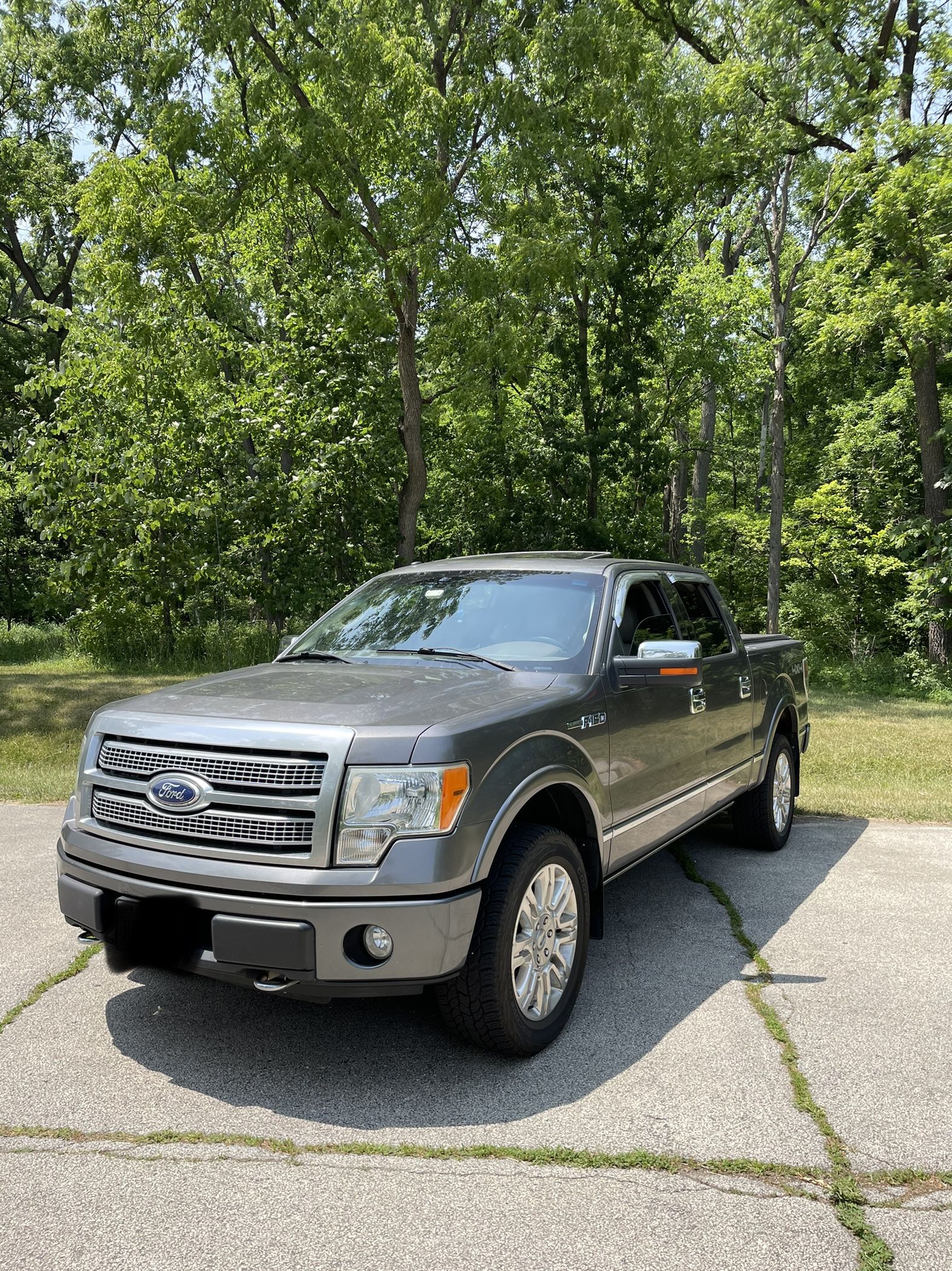 2010 Ford F-150