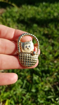 Cat in Basket pin