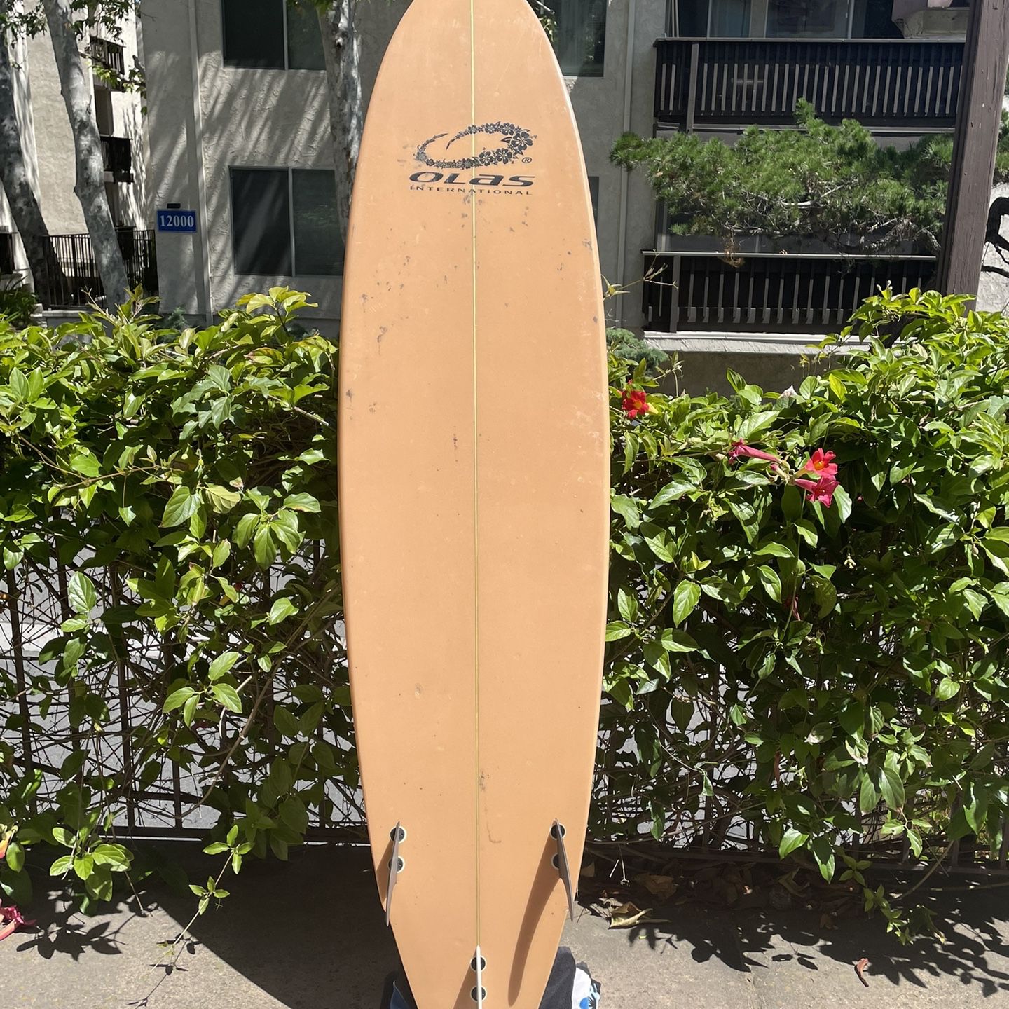 Olas International surfboard 
