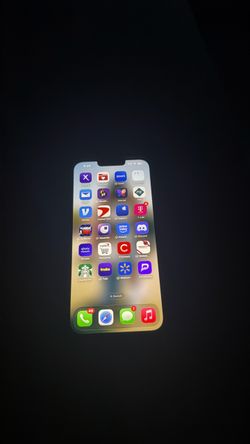 iPhone 13 Pro Max