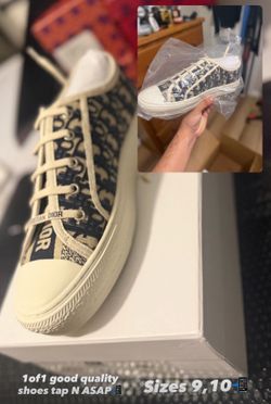 Dior Canvas Oblique Walk’N’ Low Top