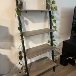 4 Tier Wall Ladder Shelf