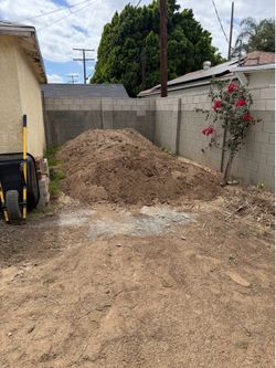 Free Dirt