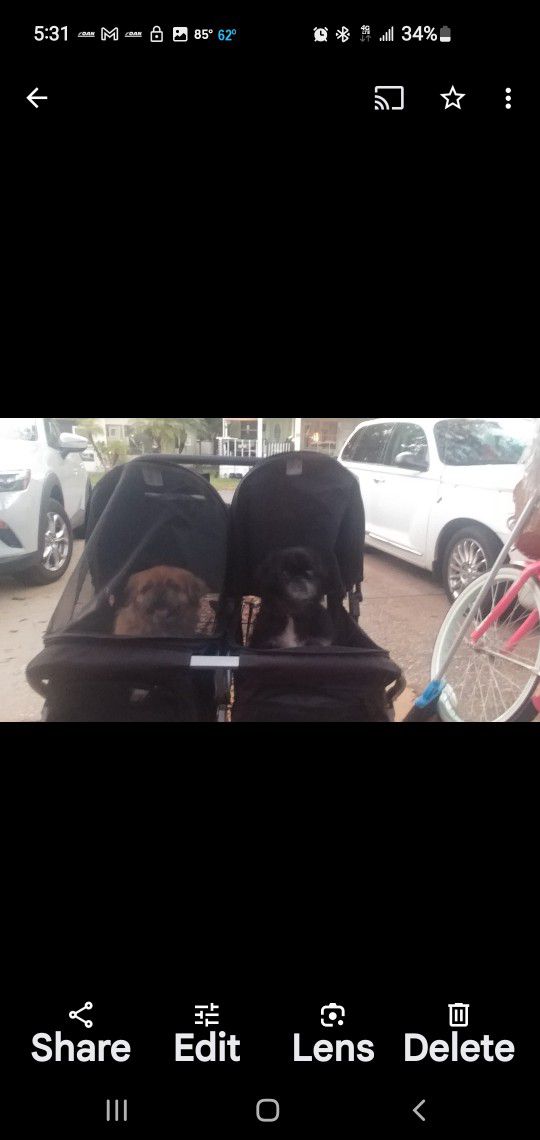 Double Dog  Stroller Great Condition 