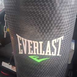 Everlast Boxing Punching BAG 100 Pounds  Bag