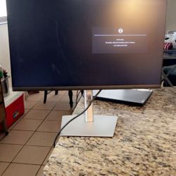 Dell Monitor 24inch P2422H
