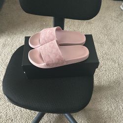 Pink Coach Slides
