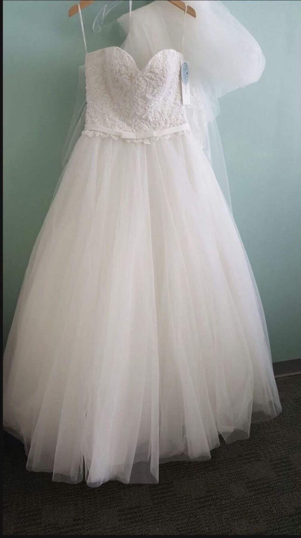 Wedding Dress With The Veil