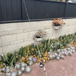 Abu Garcia Max Z 7’ Medium Rod And Reel Combo New