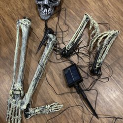 Skeleton Yard Decoration