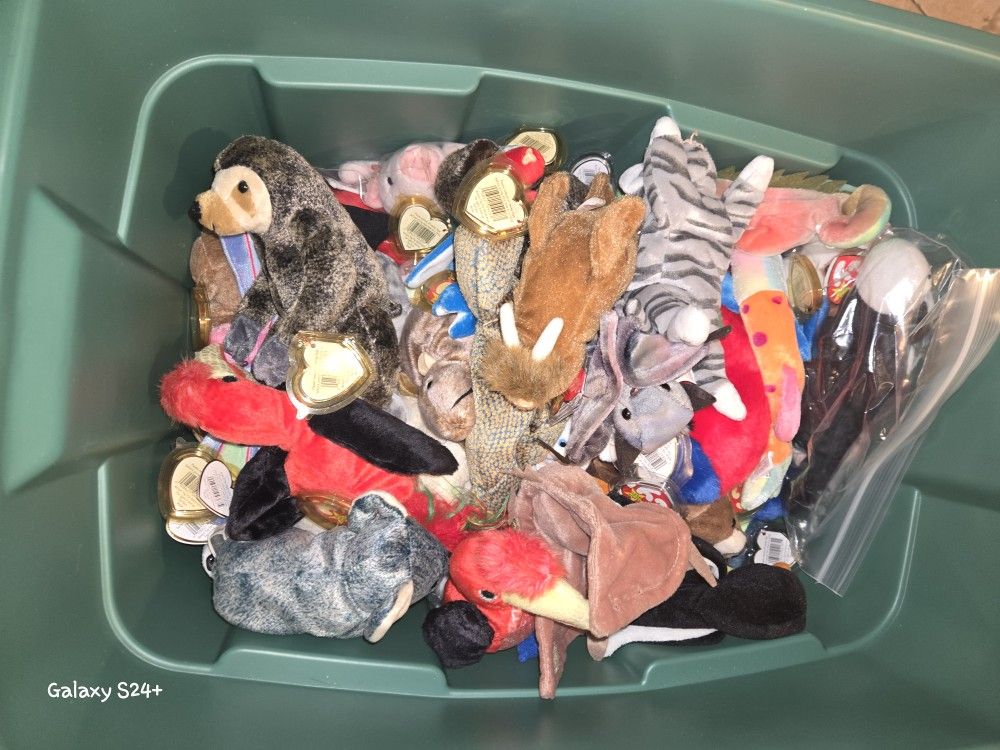 Beanie Babies