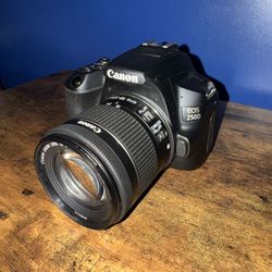 Canon 250D W/ Accessories 