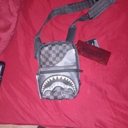 Sprayground Bag