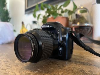 Nikon D50