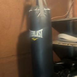 Everlast  80 Pound Boxing Bag