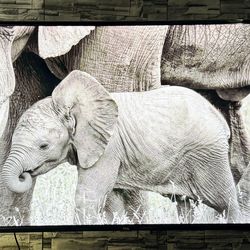 ‘55 inch TCL Roku LED Television