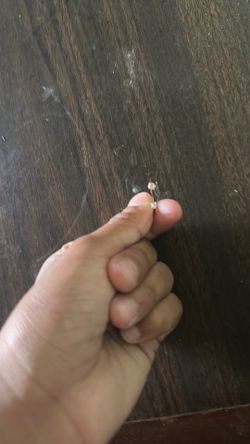 Real ring
