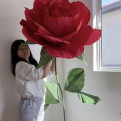 Tall  Tall  Rose 