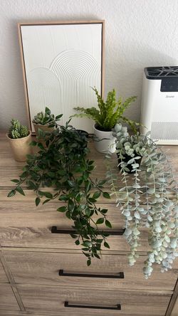 Fake Plants