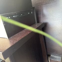 King Size Bedroom Set. Ready To Go.50dollars (king Mattress )