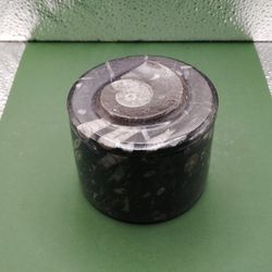 Orthoceras Ammounit Container Round With A Lid 