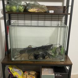 30g Tank 