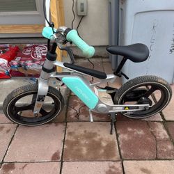 Hover-1 E Bike $225 Obo