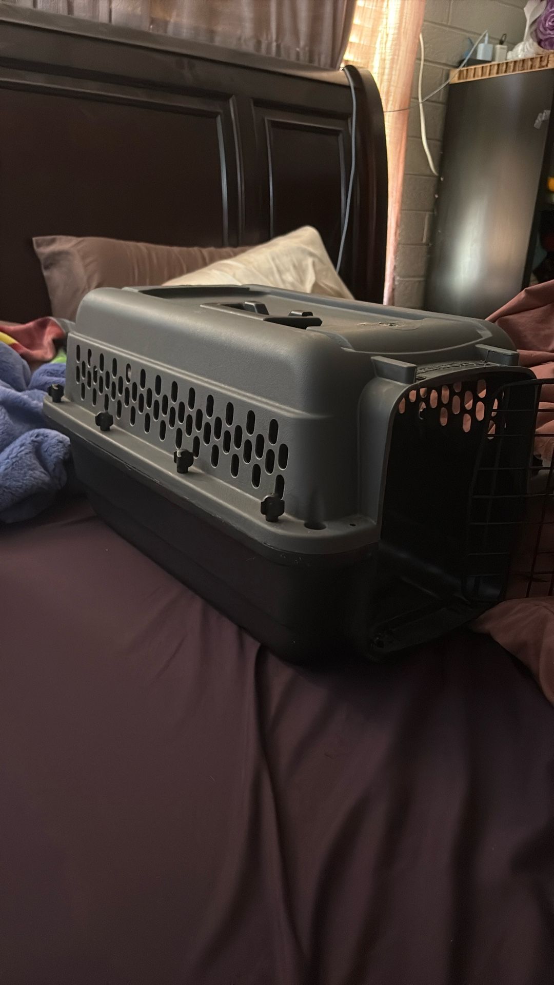 Small Pet Carrier 