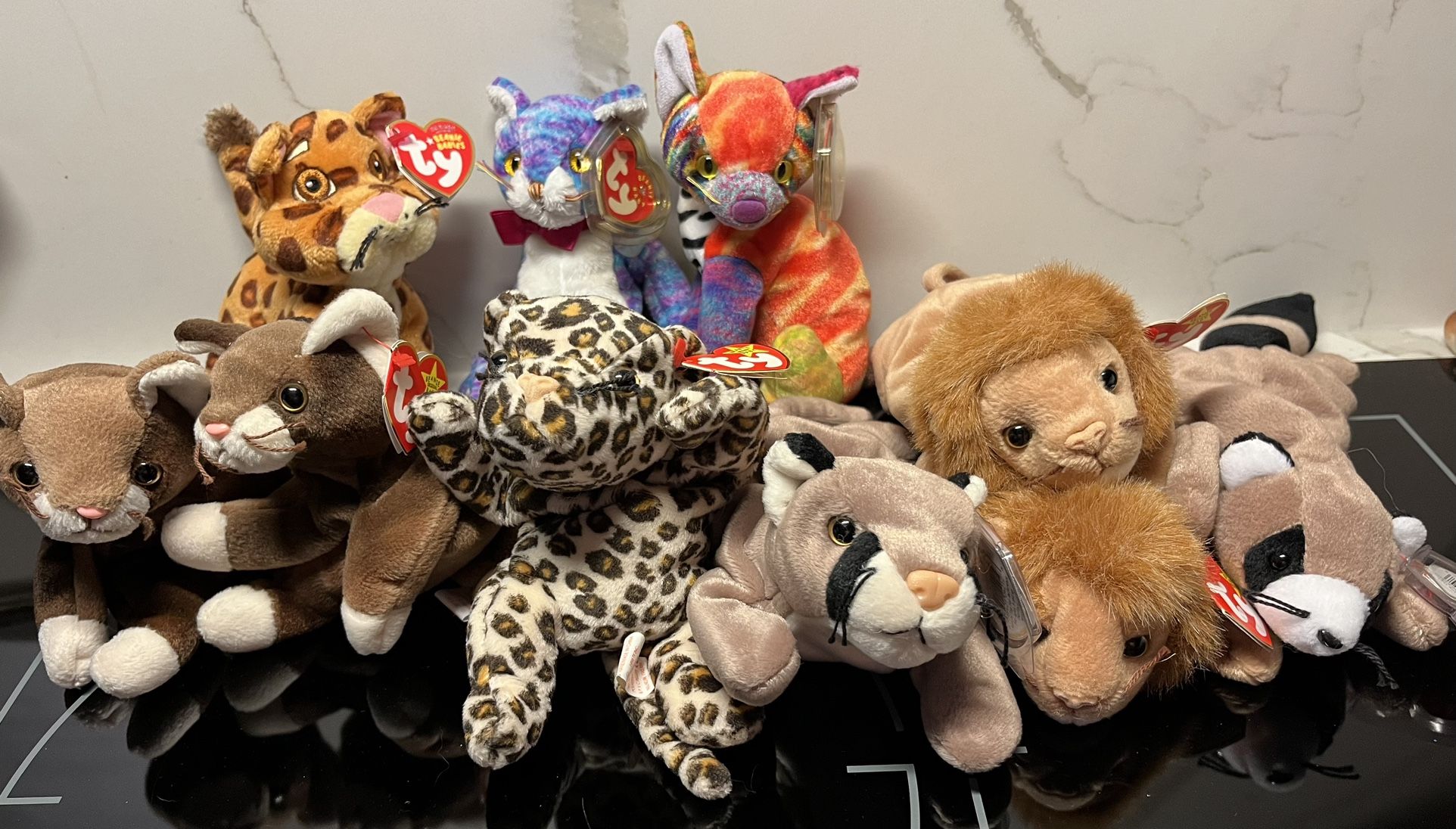 New TY Beanie Baby Cats Kittens Cat Lady Costume Halloweeen beany babies