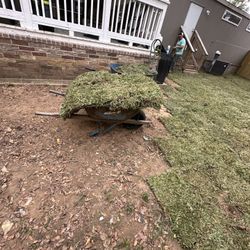 Grass Sod