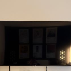 55” TV with Govee Backlights & Mount