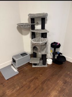 Cat accessories