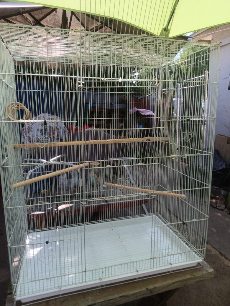 Birds Cage