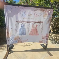 Gender Reveal Backdrop And Stand