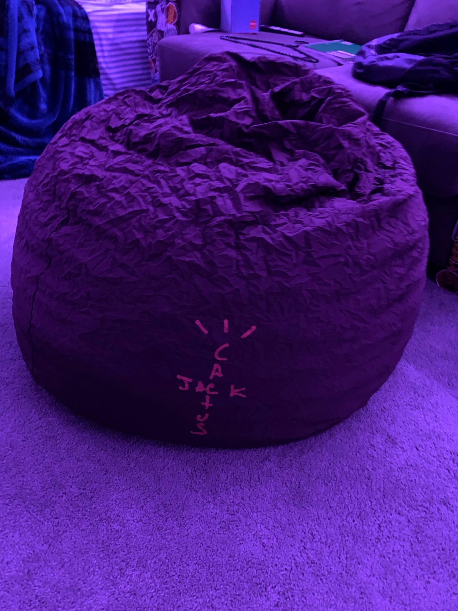 Travis Scott (Cactus Jack) Bean Bag Chair