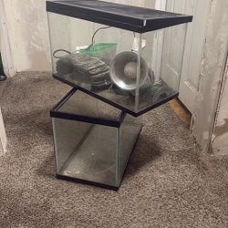 10 Gallon Tanks