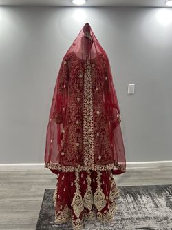Red And Gold Hindi Dress With Jewelry 