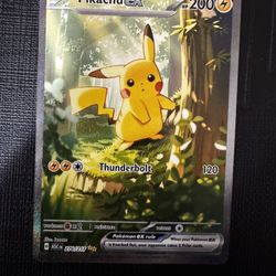 Pikachu 276 Ascended Hero’s